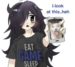 look at this cat